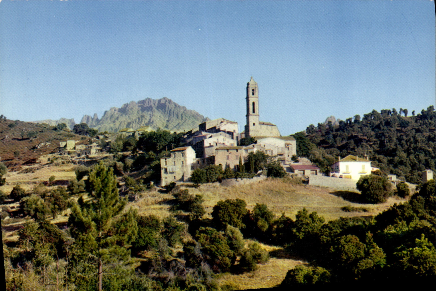 CPSM Charmes Et Couleurs De La Corse Soveria Vue Generale