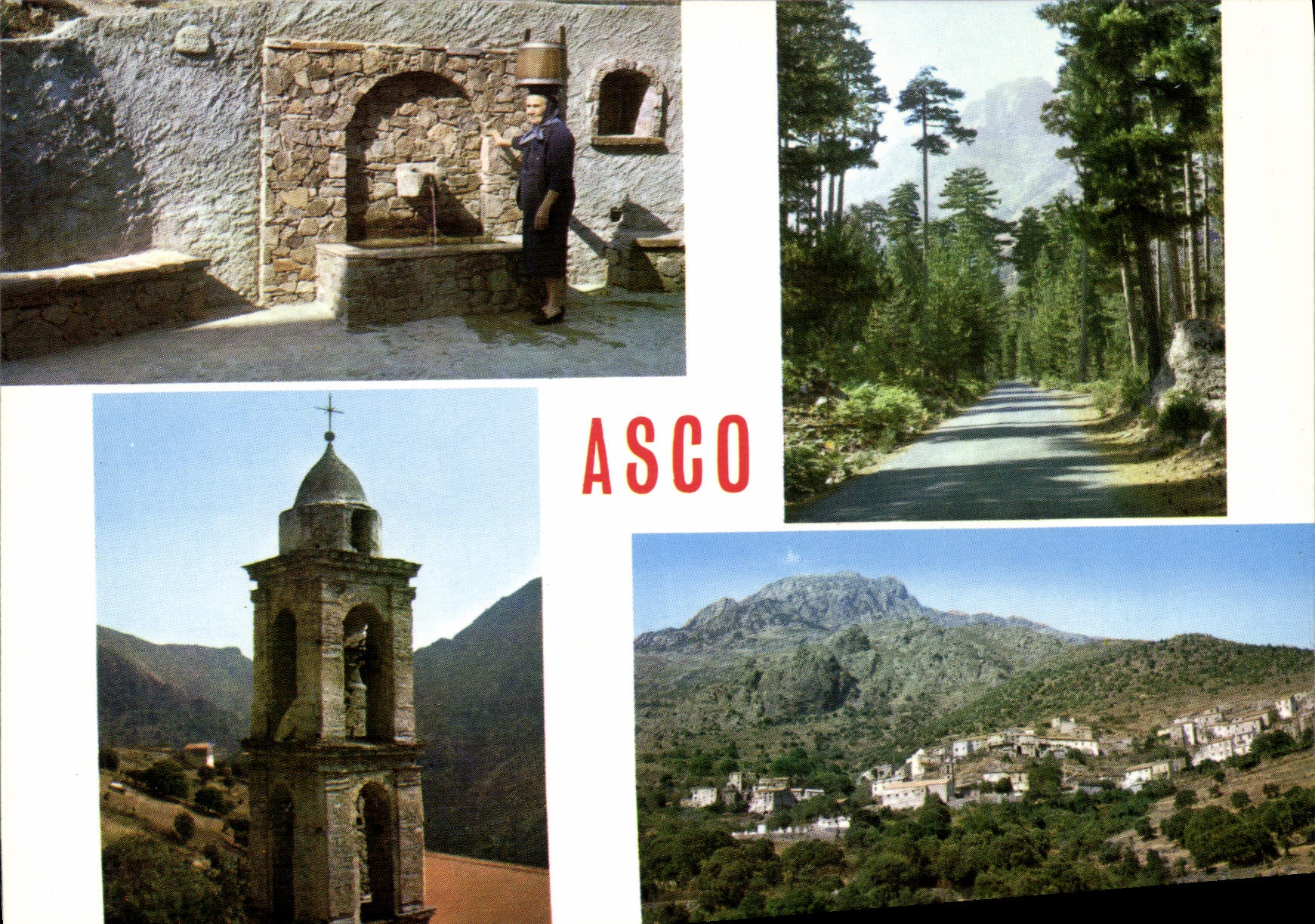 CPSM Asco La Fontaine Vue Generale Le Clocher La Foret