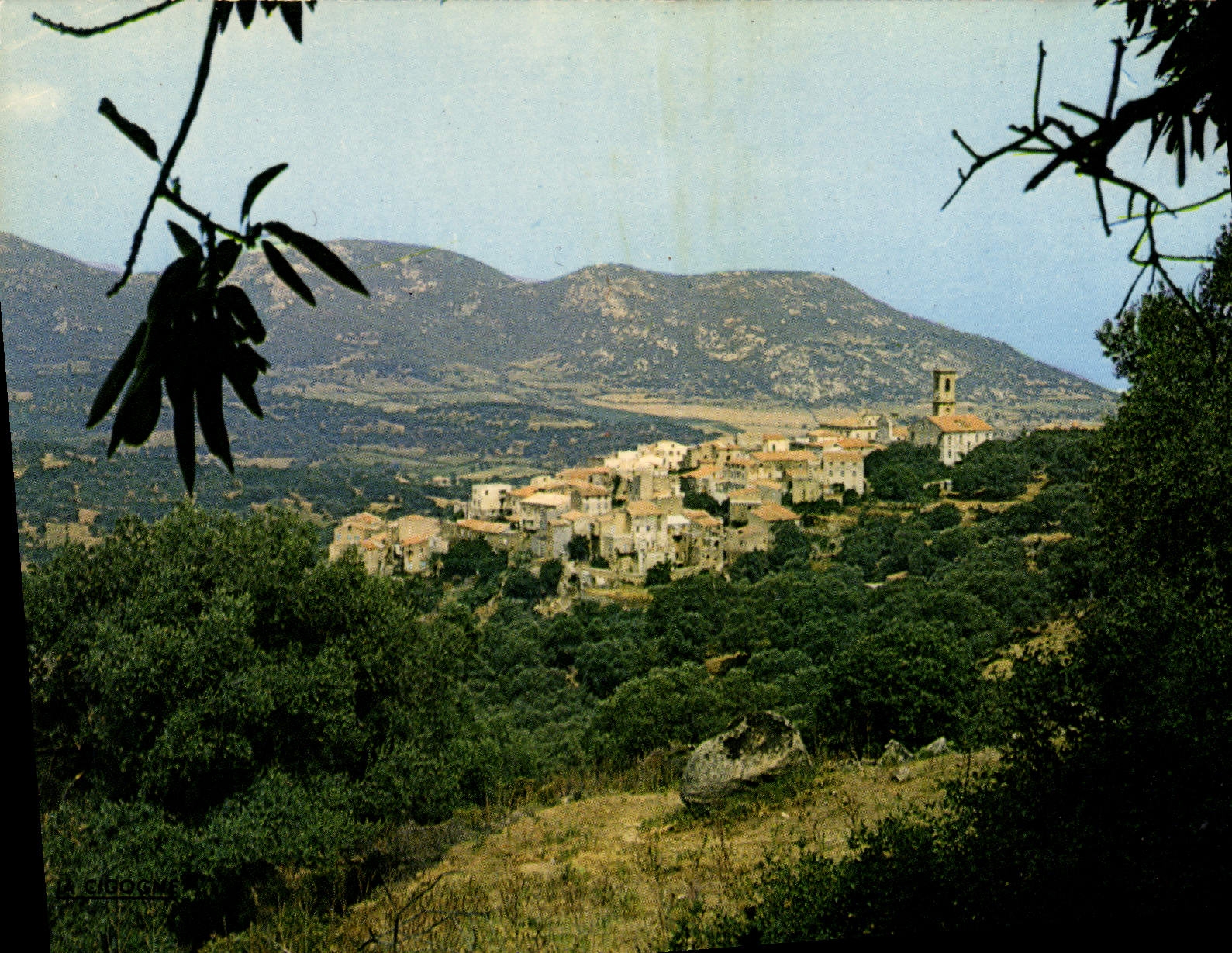 CPSM Aregno Vue Generale