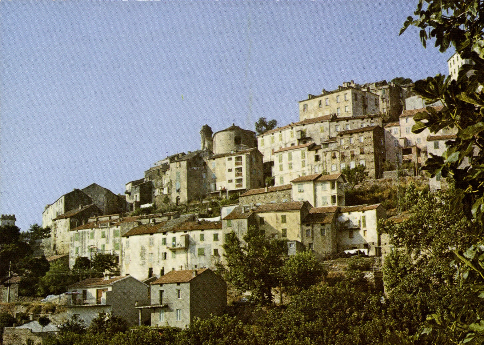 CPSM Oletta Vue Generale