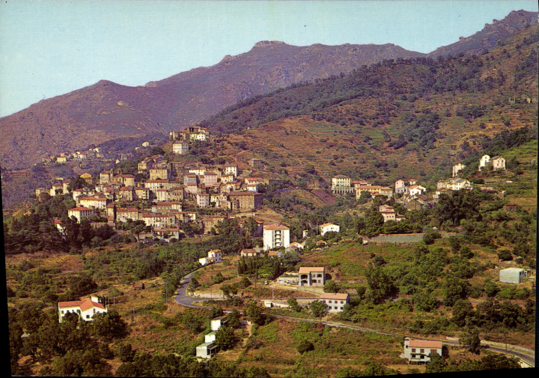 CPSM Oletta Corse Vue Generale