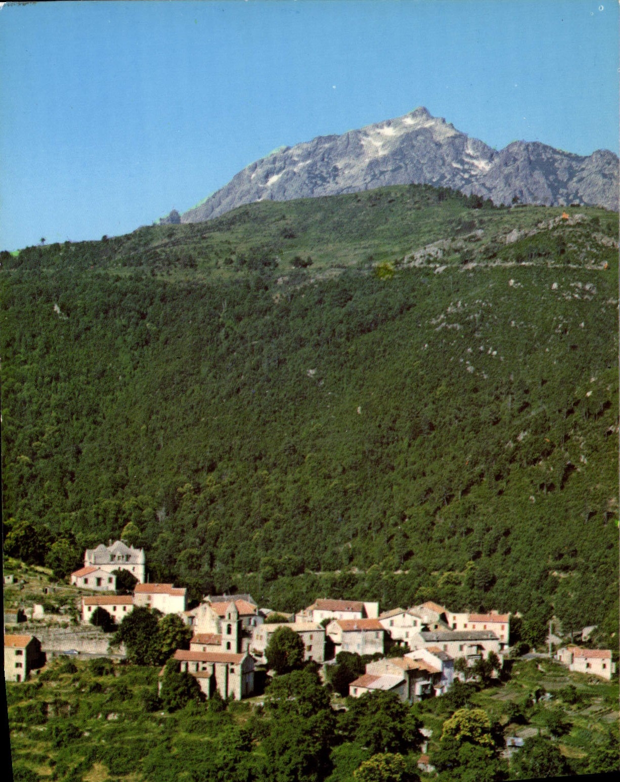 CPSM Charmes Et Couleurs De La Corse Muracciole Et Son Chateau
