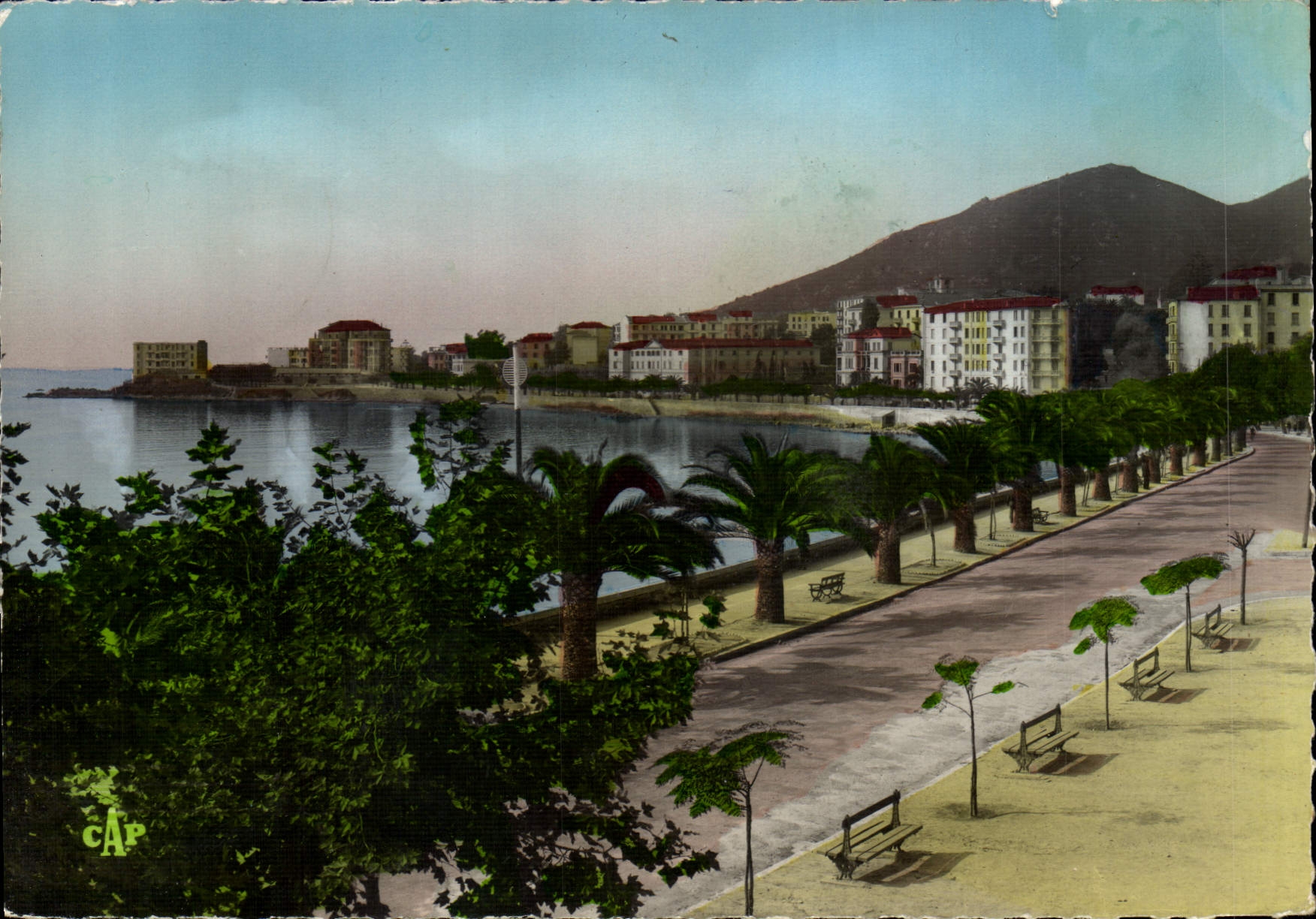CPSM Ajaccio Boulevard Albert 1er