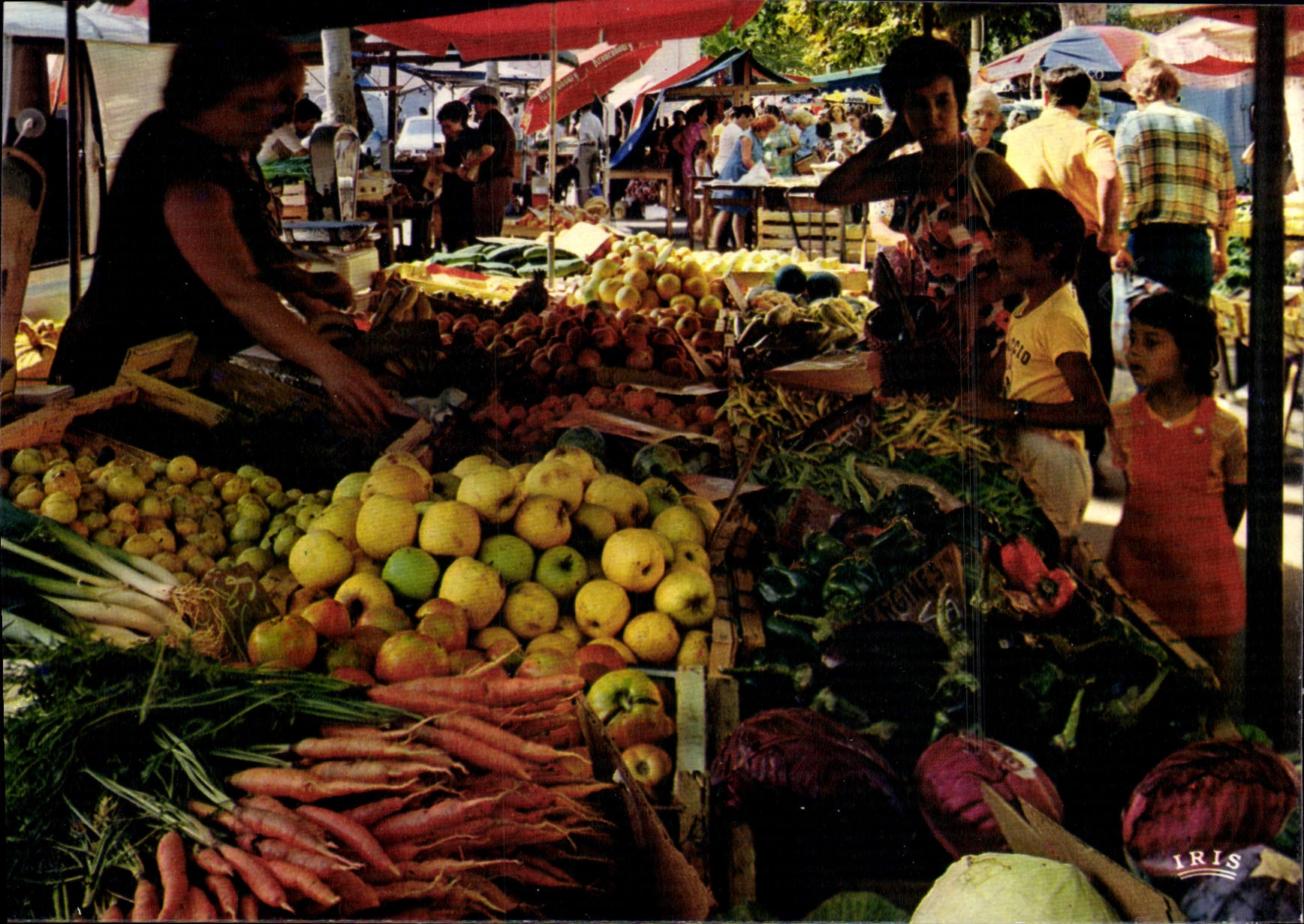 CPSM Charmes Et Couleurs De La Corse Ajaccio Le Marché De La Ville