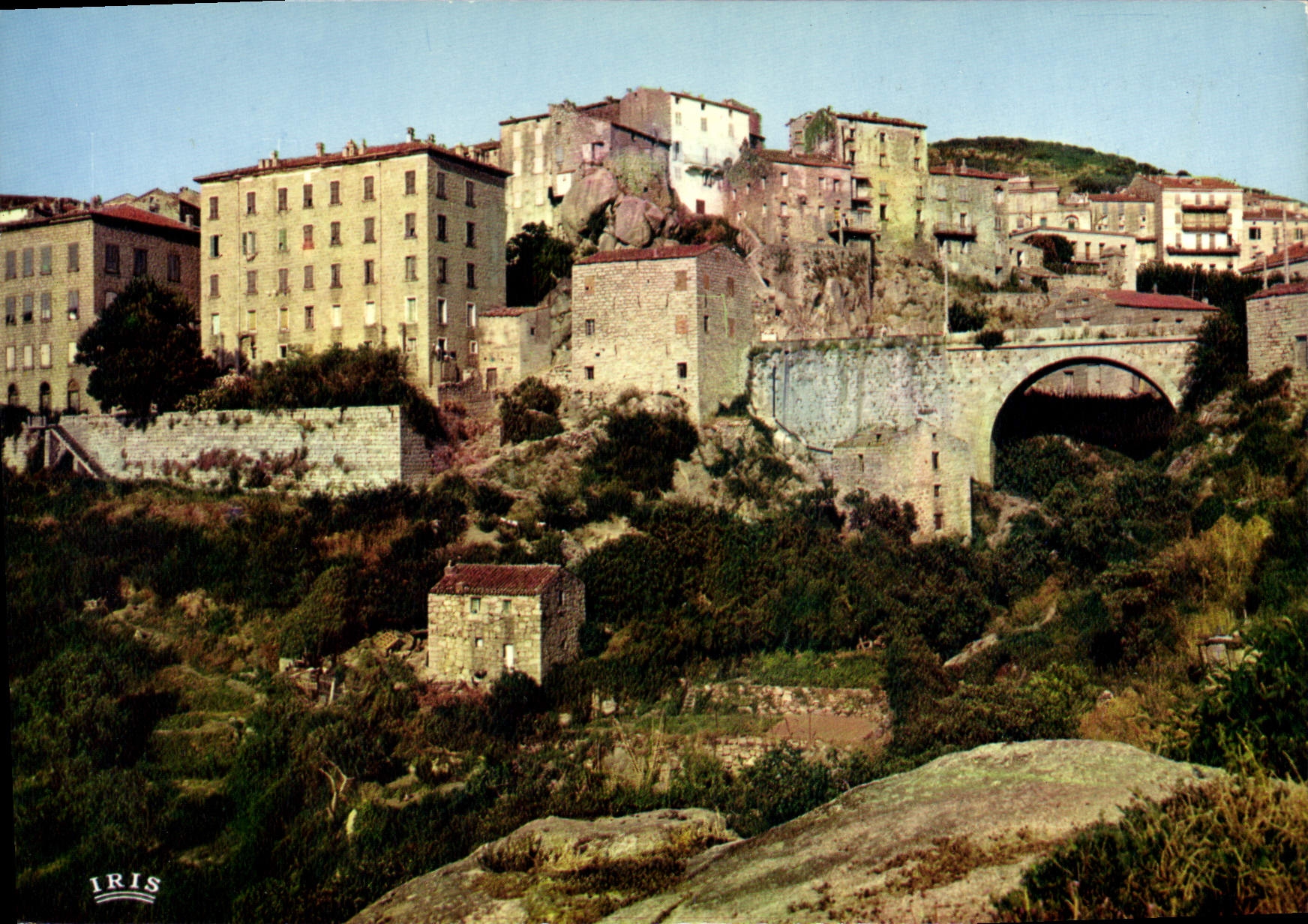 CPSM Sartene Entree De La Ville