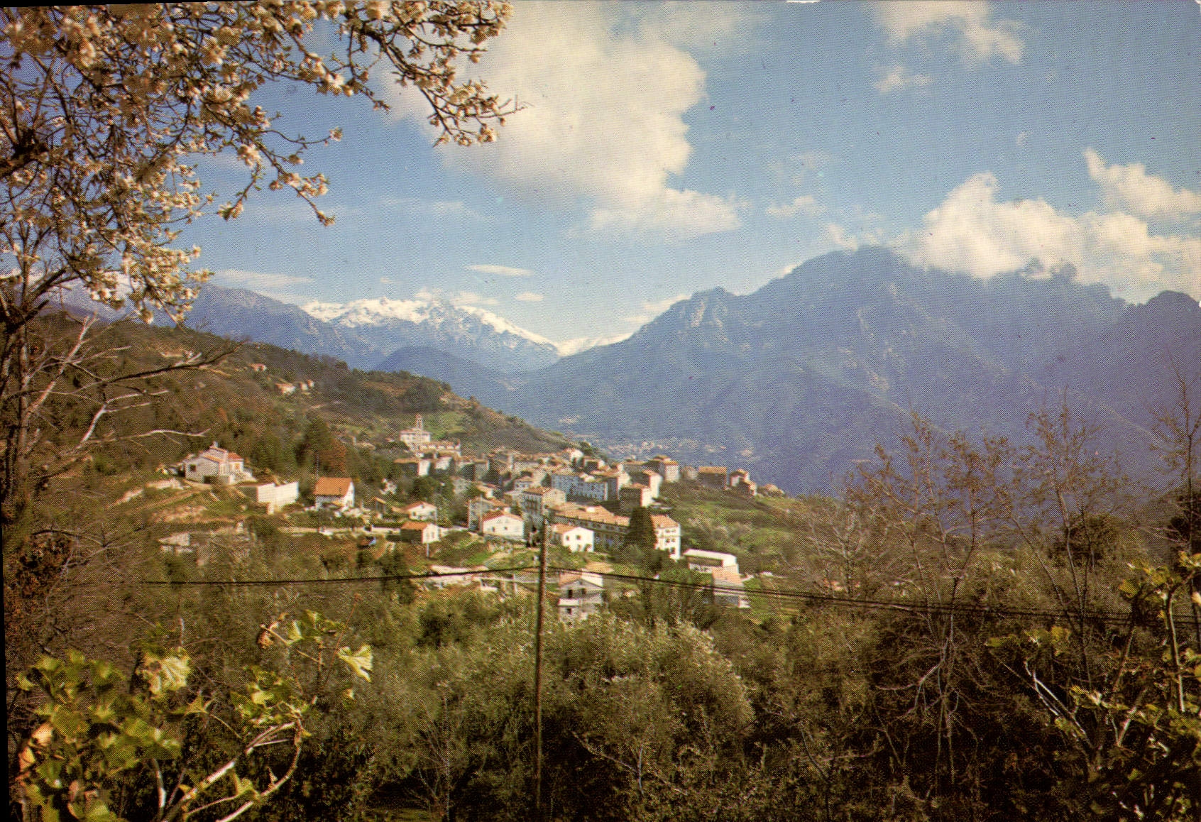 CPSM VIco Vue Generale