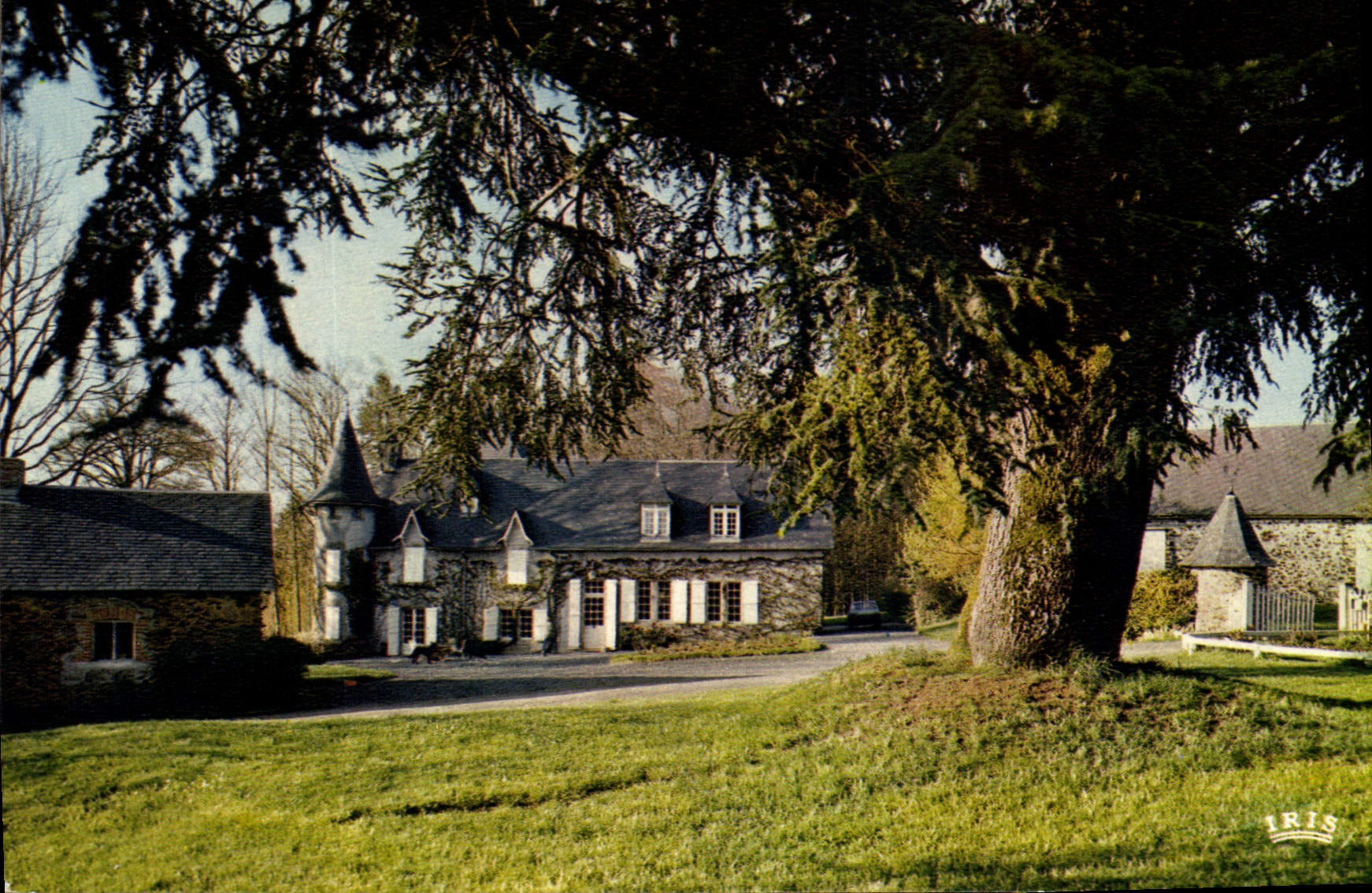 CPSM Chamboulive Chateau De Lacheze