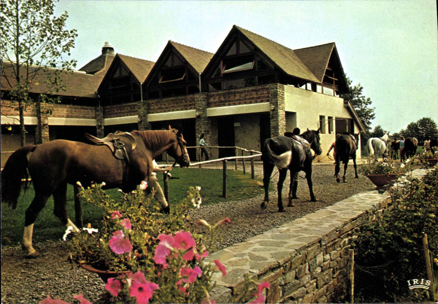 CPSM Club Mediterranee Centre Equestre De Pompadour domaine de la Noaille