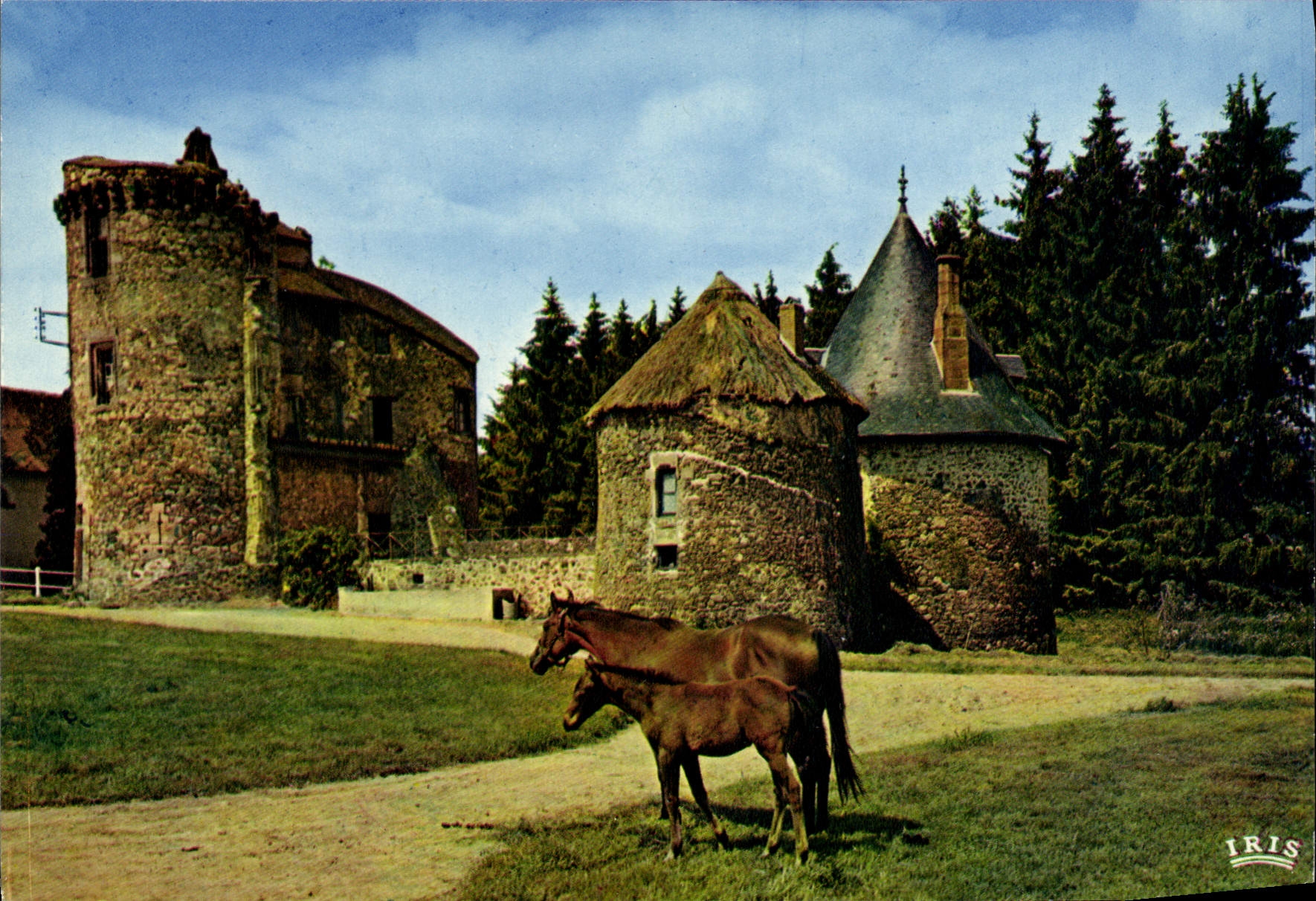 CPSM Environs De Pompadour Domaine De La Riviere