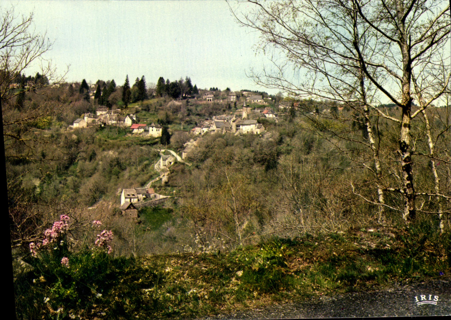 CPSM La Roche Canillac Vue Generale