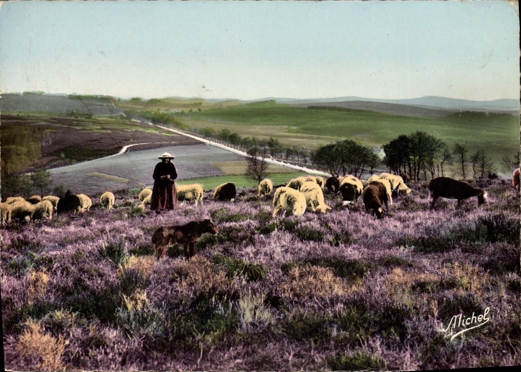 CPSM Michel Paysage De La Haute Correze Millevache moutons au Mont Audouze