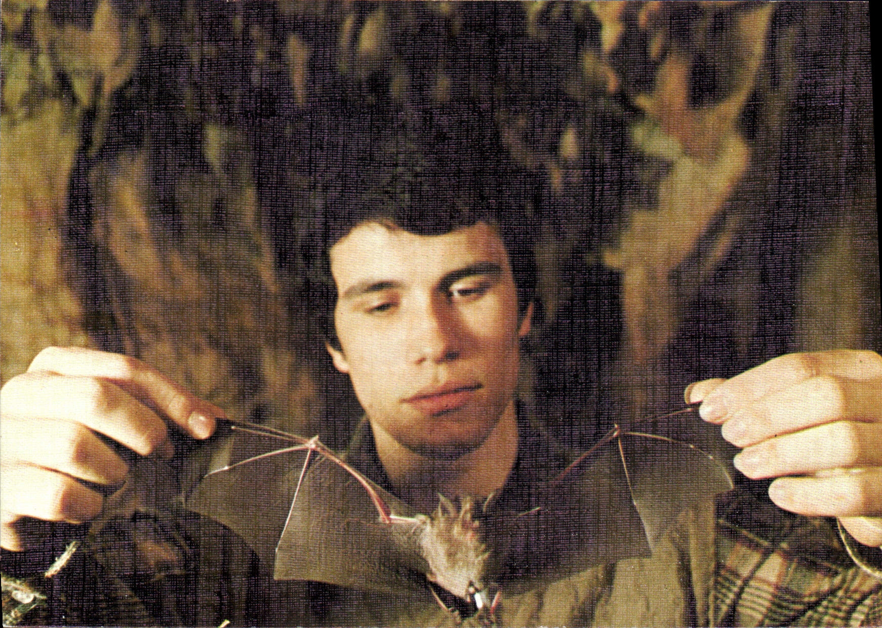 CPSM La Chauve Souris Galerie Sud gouffre de la Fage à Noaille