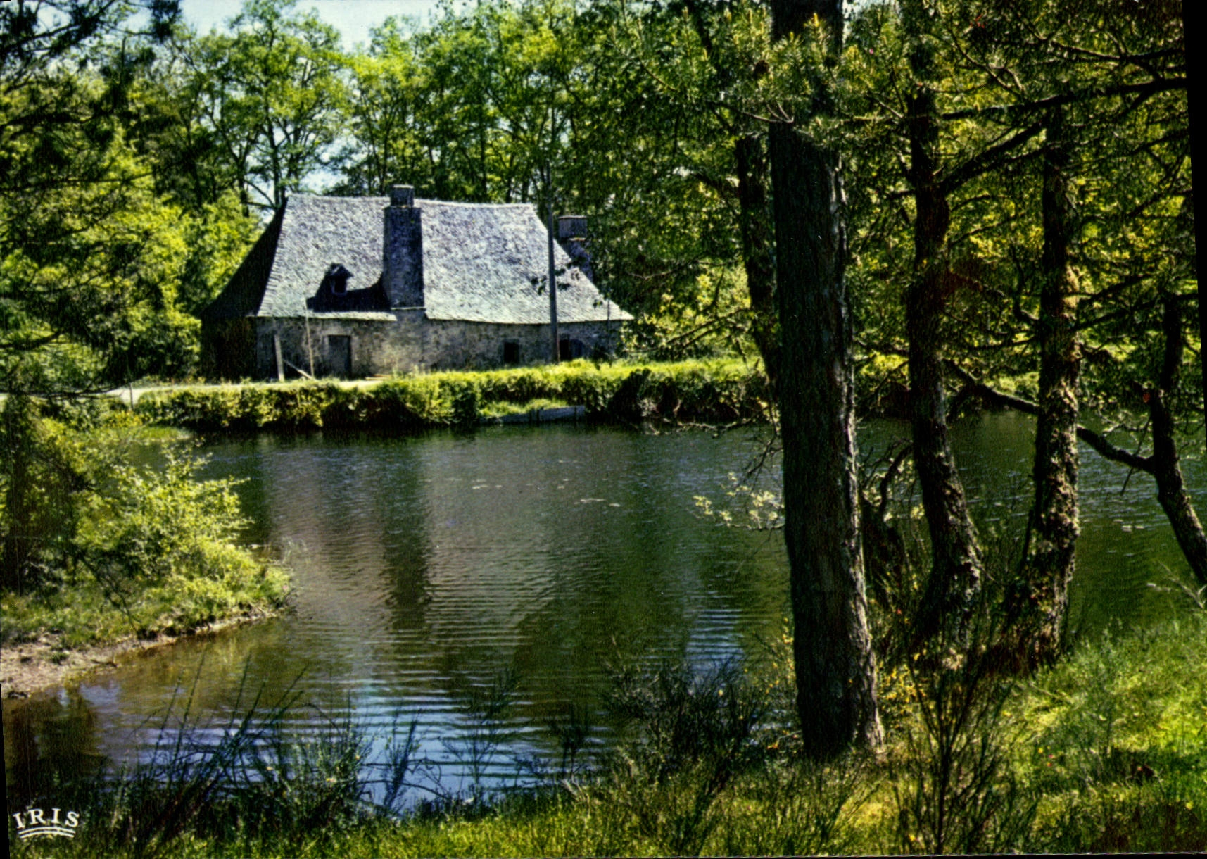 CPSM Saint Privat L'Etang De Malesse