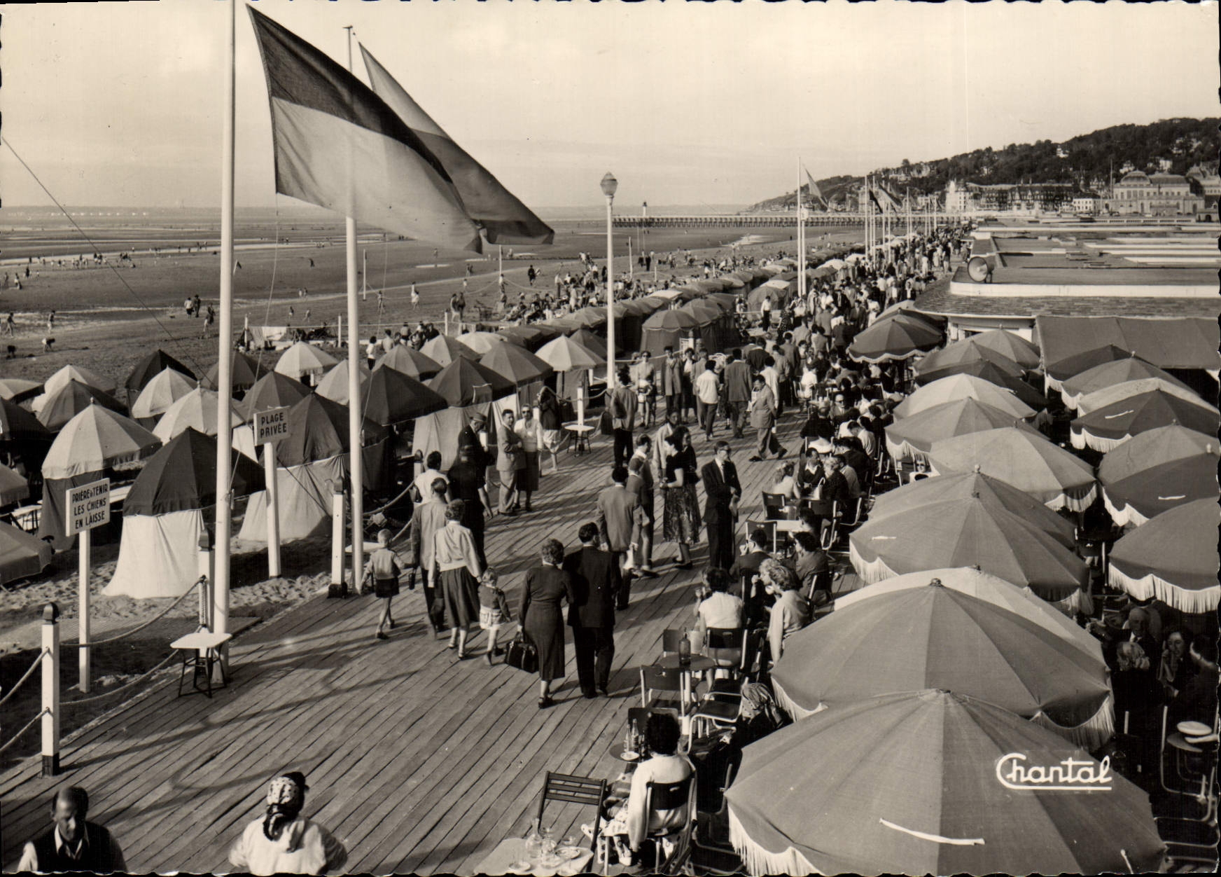 CPSM Deauville Le Bar Du Soleil