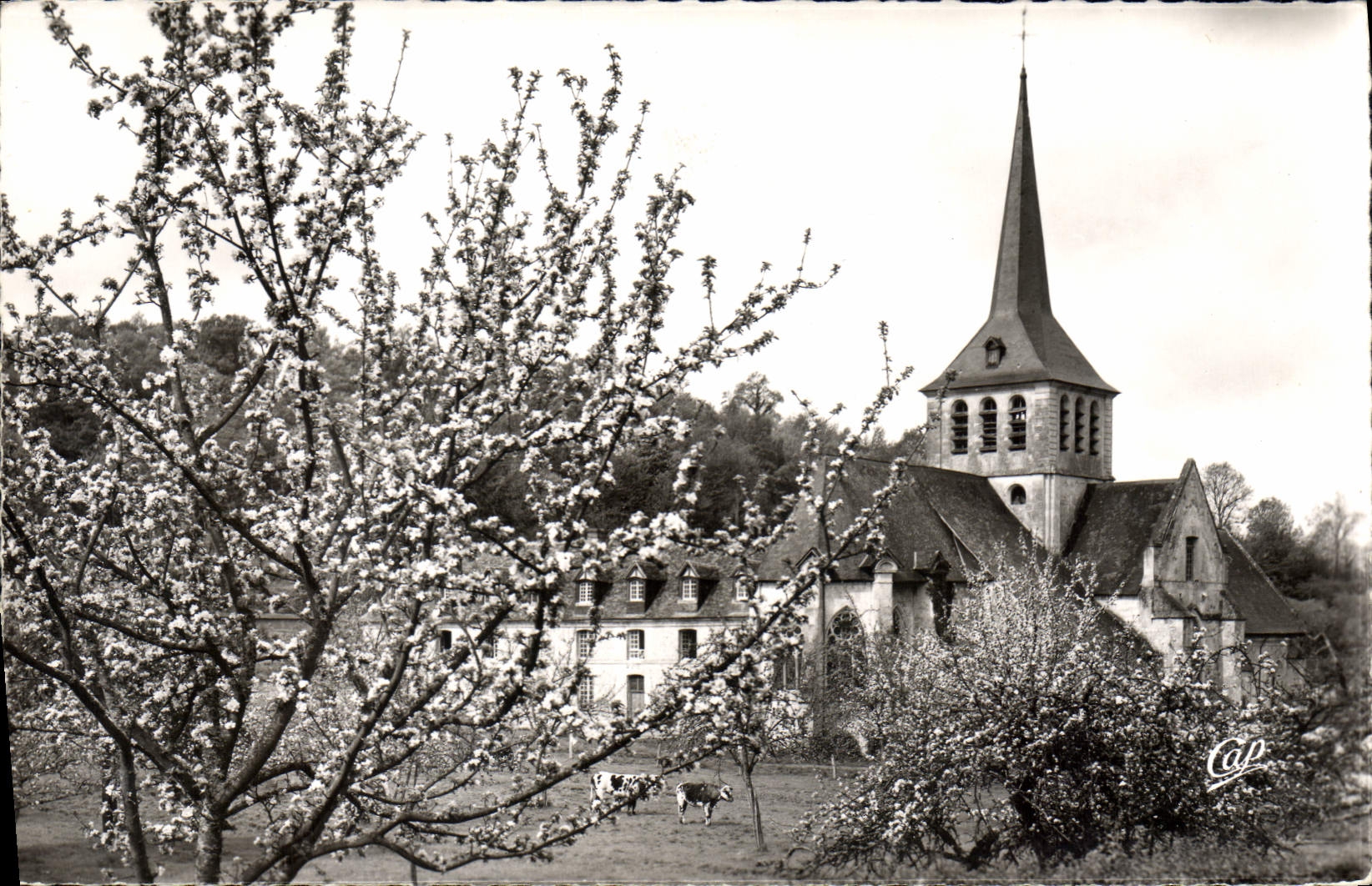 CPA Pont L'Eveque Saint Himer L'Eglise