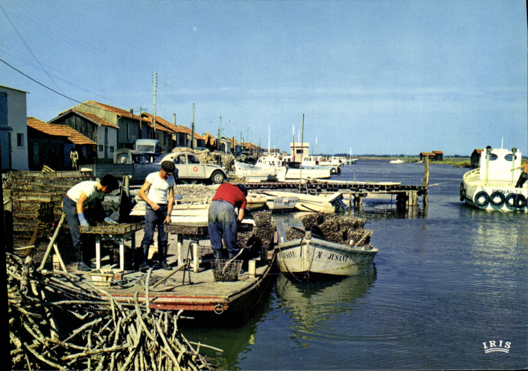 CPSM La Tremblade Le Port Scene Ostreicole triage des huitres