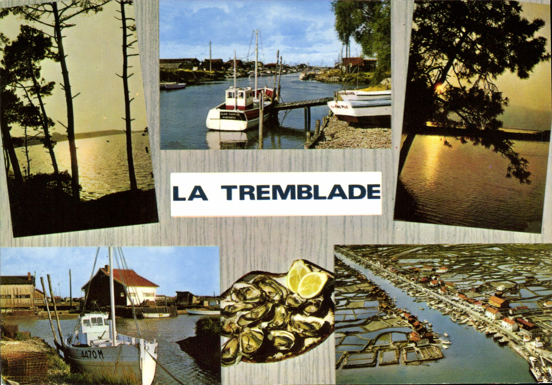 CPSM La Tremblade Centre Ostreicole Sur La Seudre