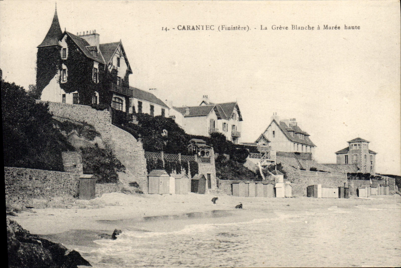 CPA Carantec La Greve Blanche A Maree haute