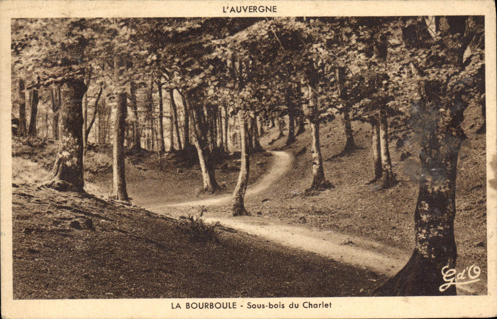 CPA La Bourboule Sous Bois Du Charlet