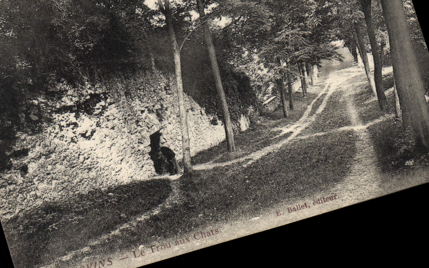 CPA Provins Le Trou Aux Chats