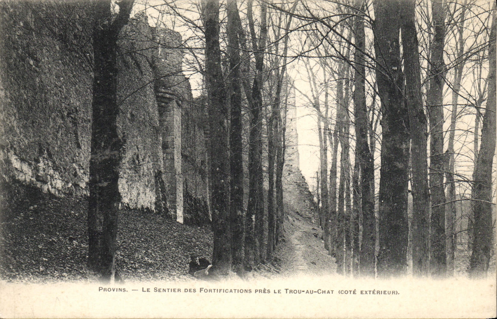 CPA Provins Le Sentier Des Fortifications