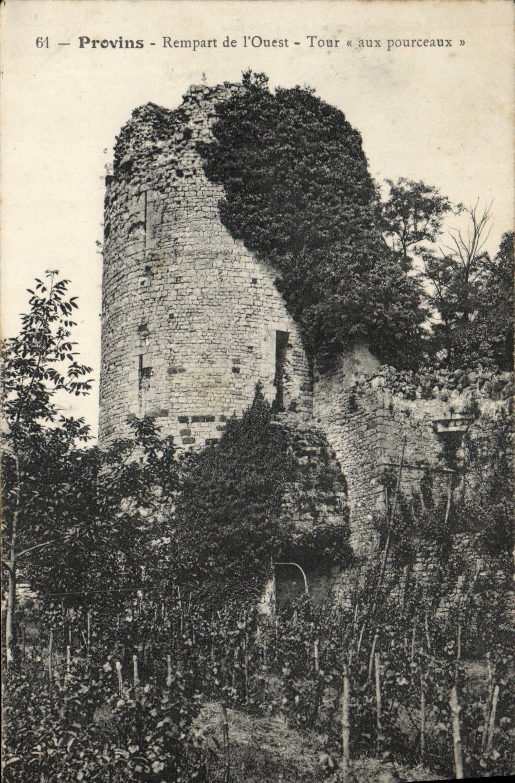 CPA Provins Rempart De I'Ouest Tour Aux Pourceaux