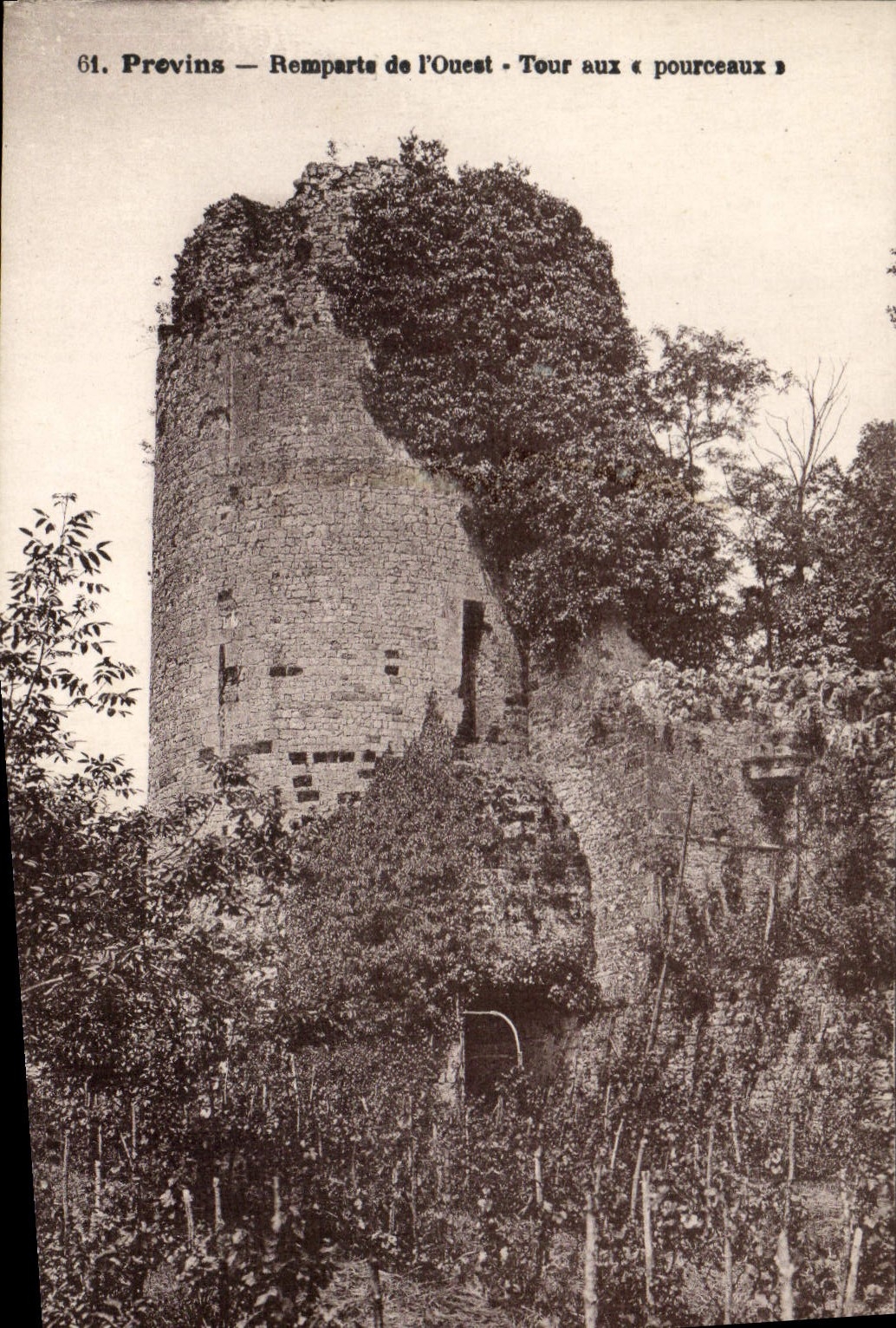 CPA Provins Remparts De I'Ouest Tour Aux pourceaux