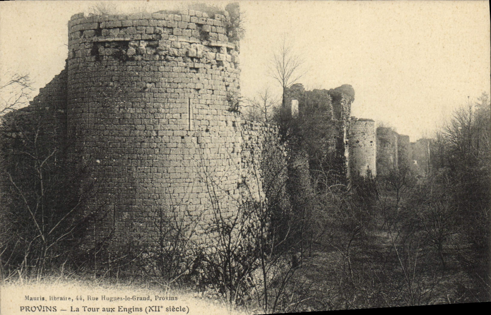 CPA Provins La Tour Aux Engins