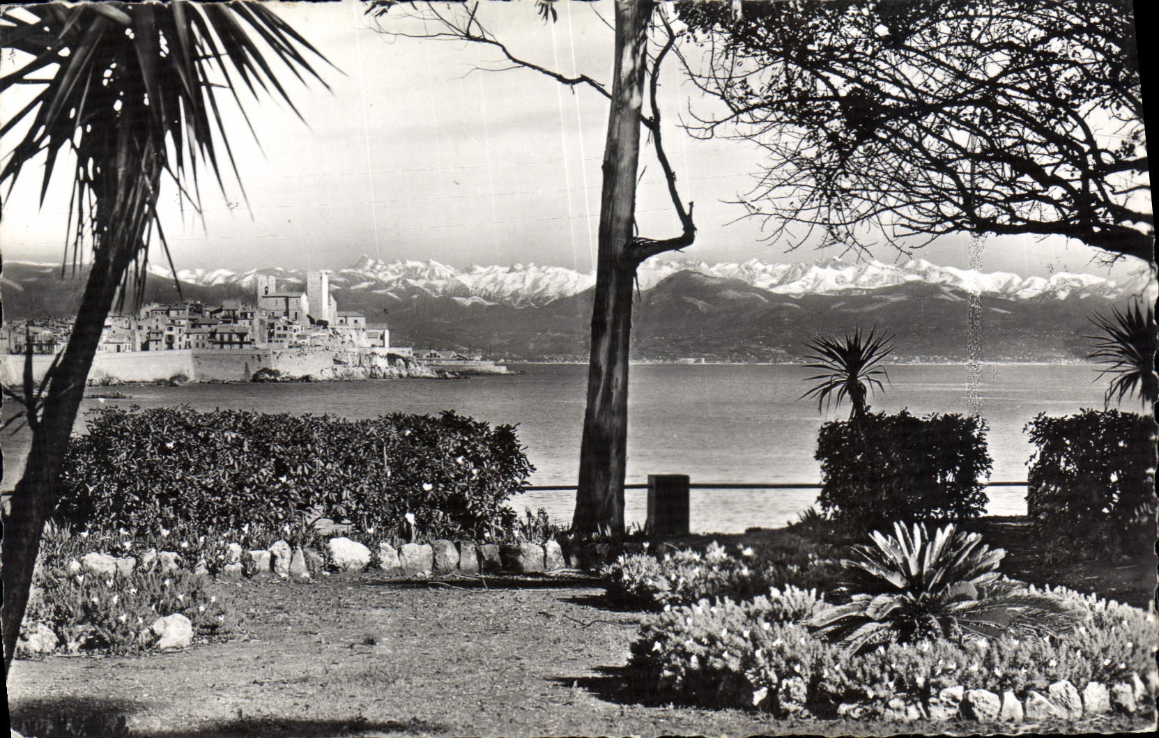 CPA Antibes Cote D'Azur La Vieille Ville Au Fond Les Alpes