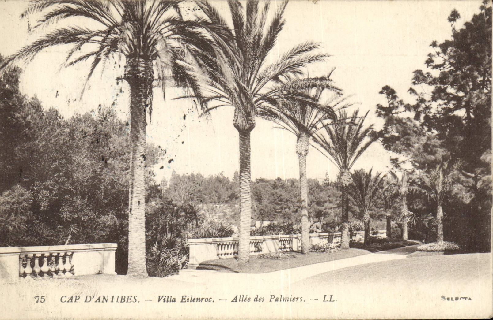 CPA Antibes Villas Eilenroc Allee Des Palmiers Cap