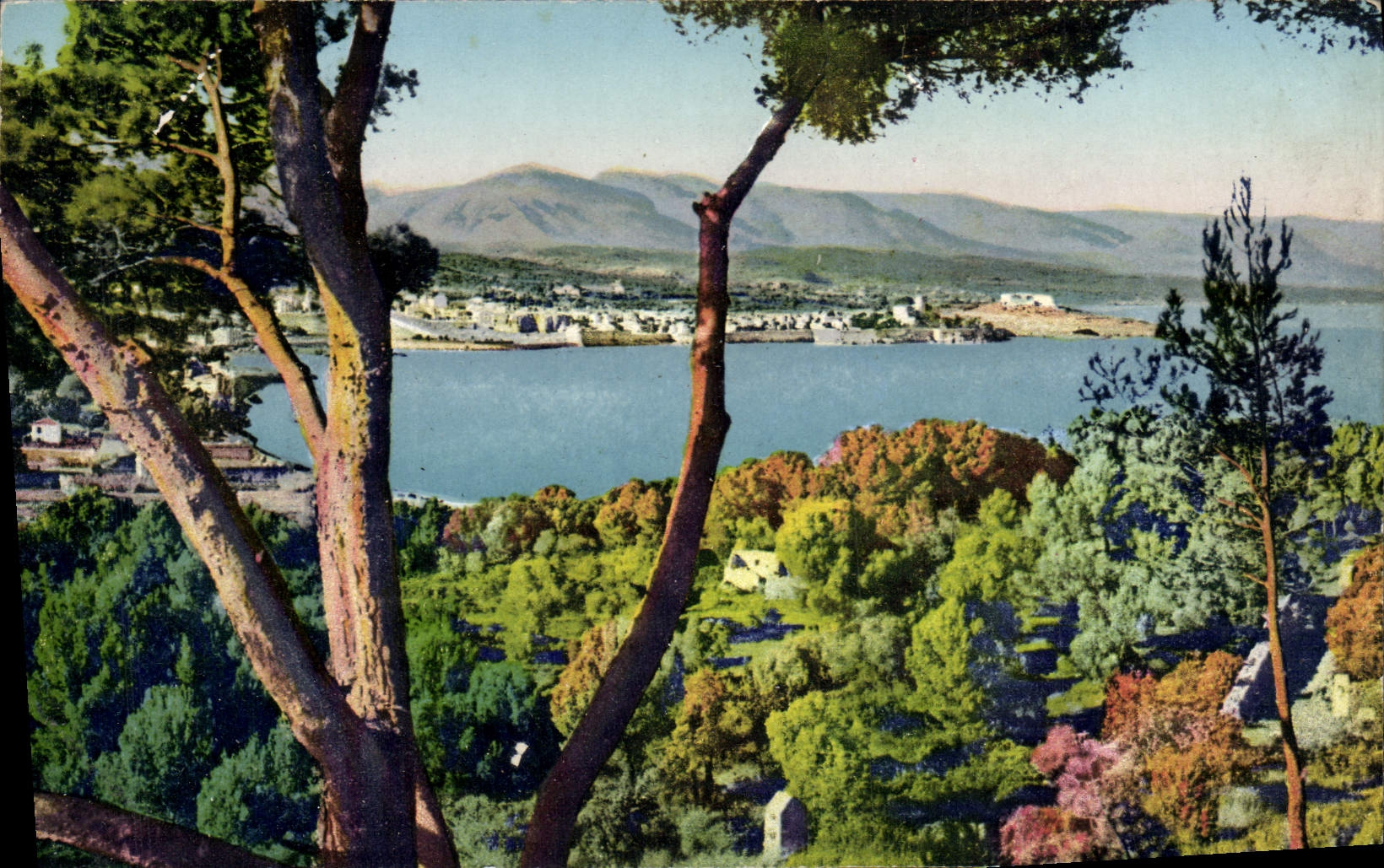 CPA Antibes Panorama Sur La Ville Pris Des Pins Du Cap D'Antibes