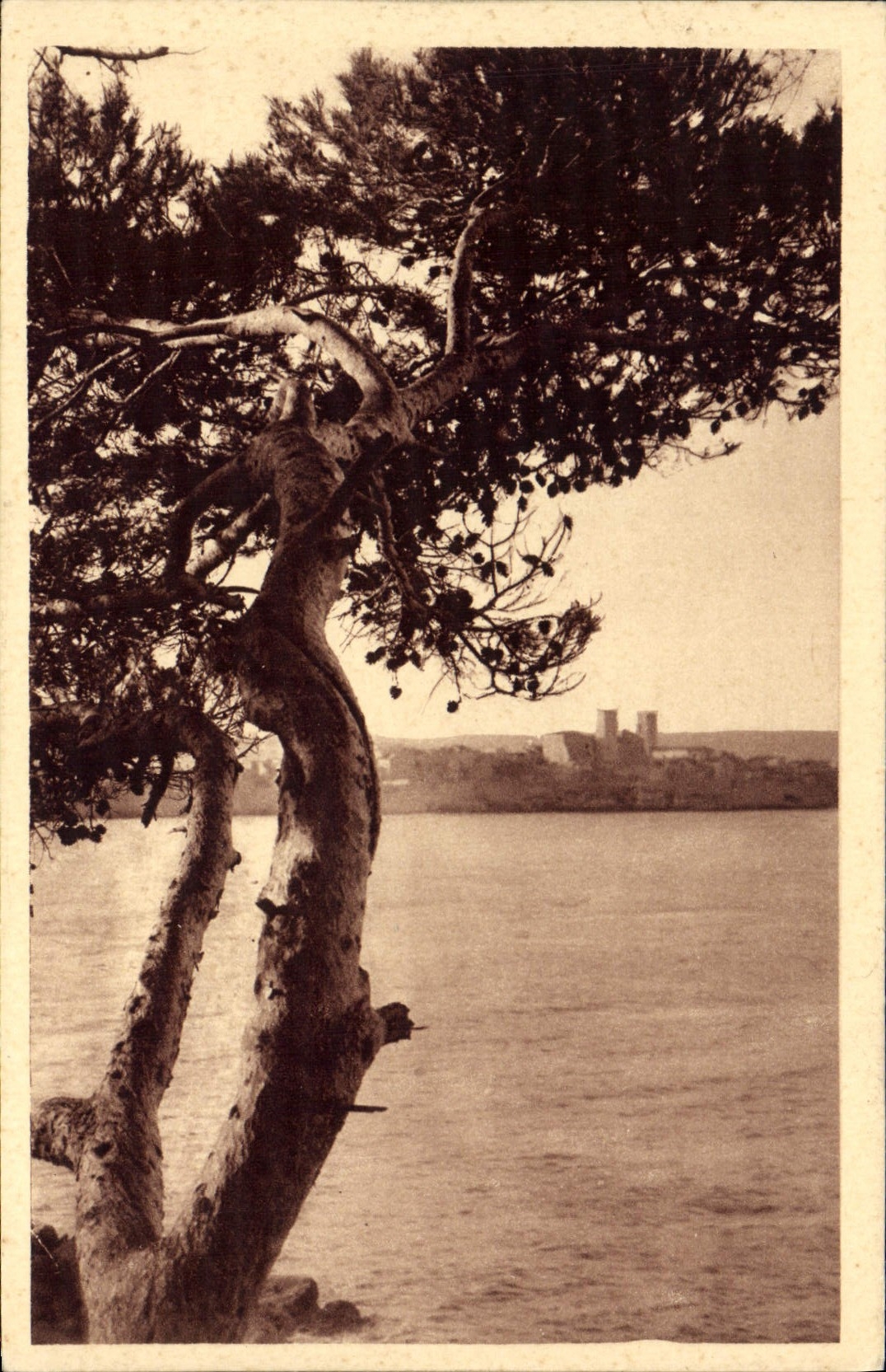 CPA Antibes Vu Du Cap