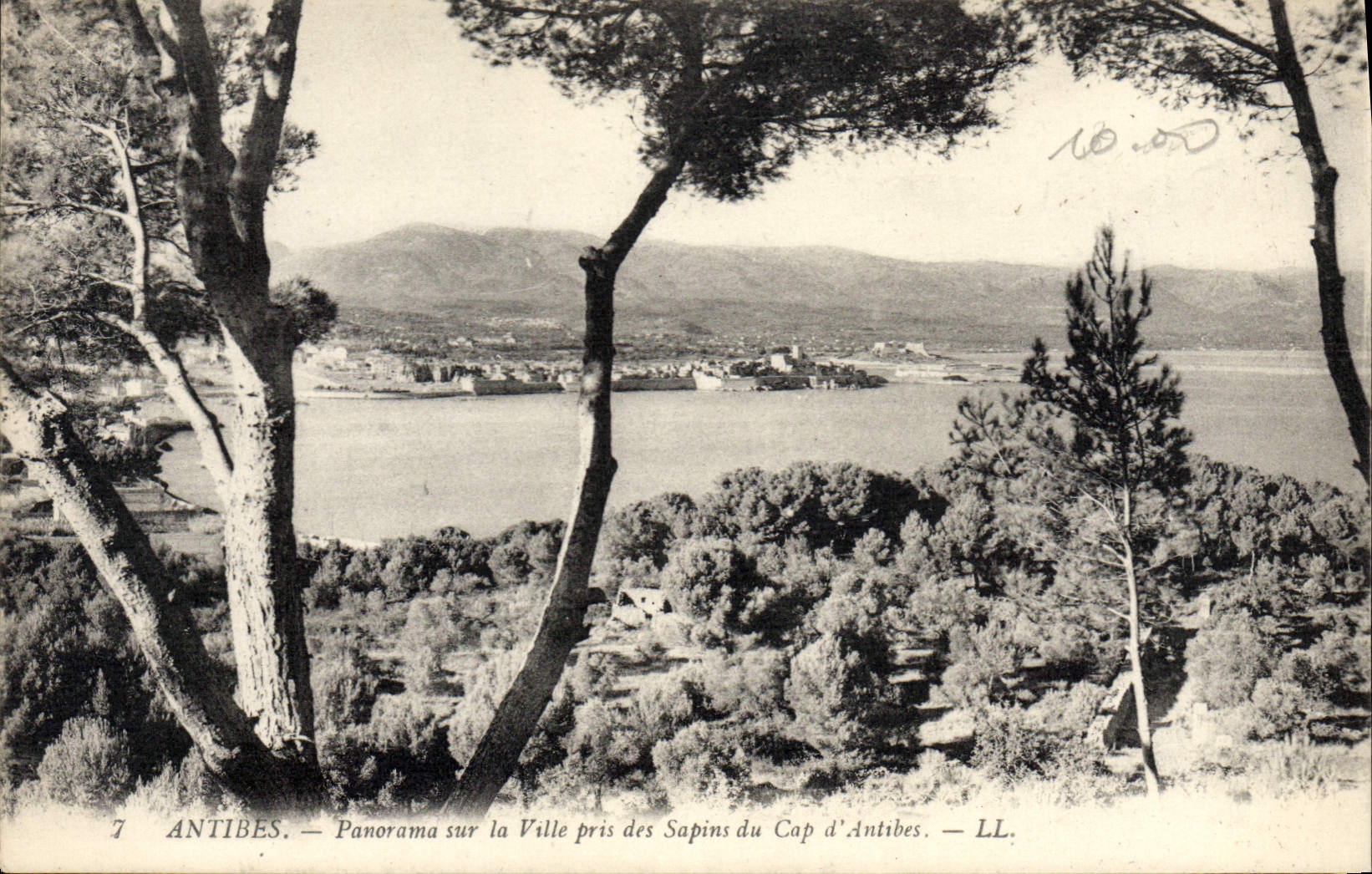 CPA Antibes Panorama Sur La Ville Prise Des Sapins Du Cap D'Antibes