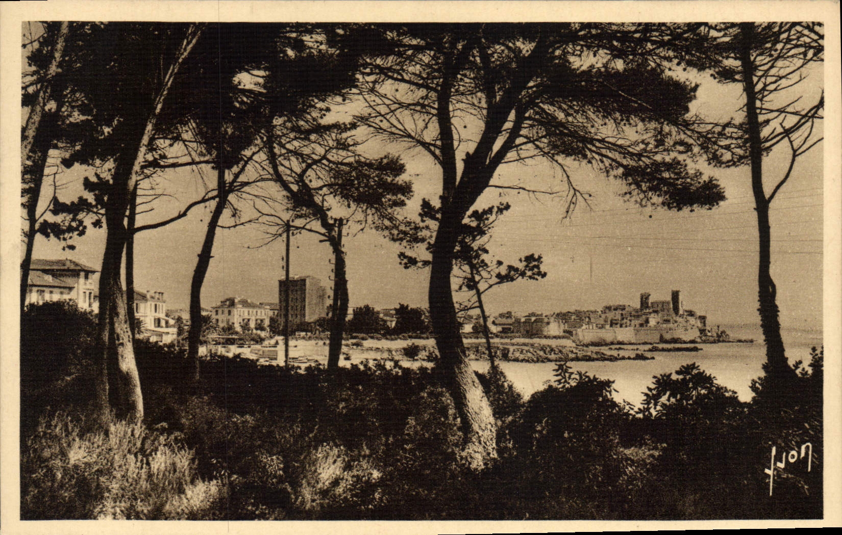 CPA Antibes La Ville Vue A Travers Les Pins De La Corniche