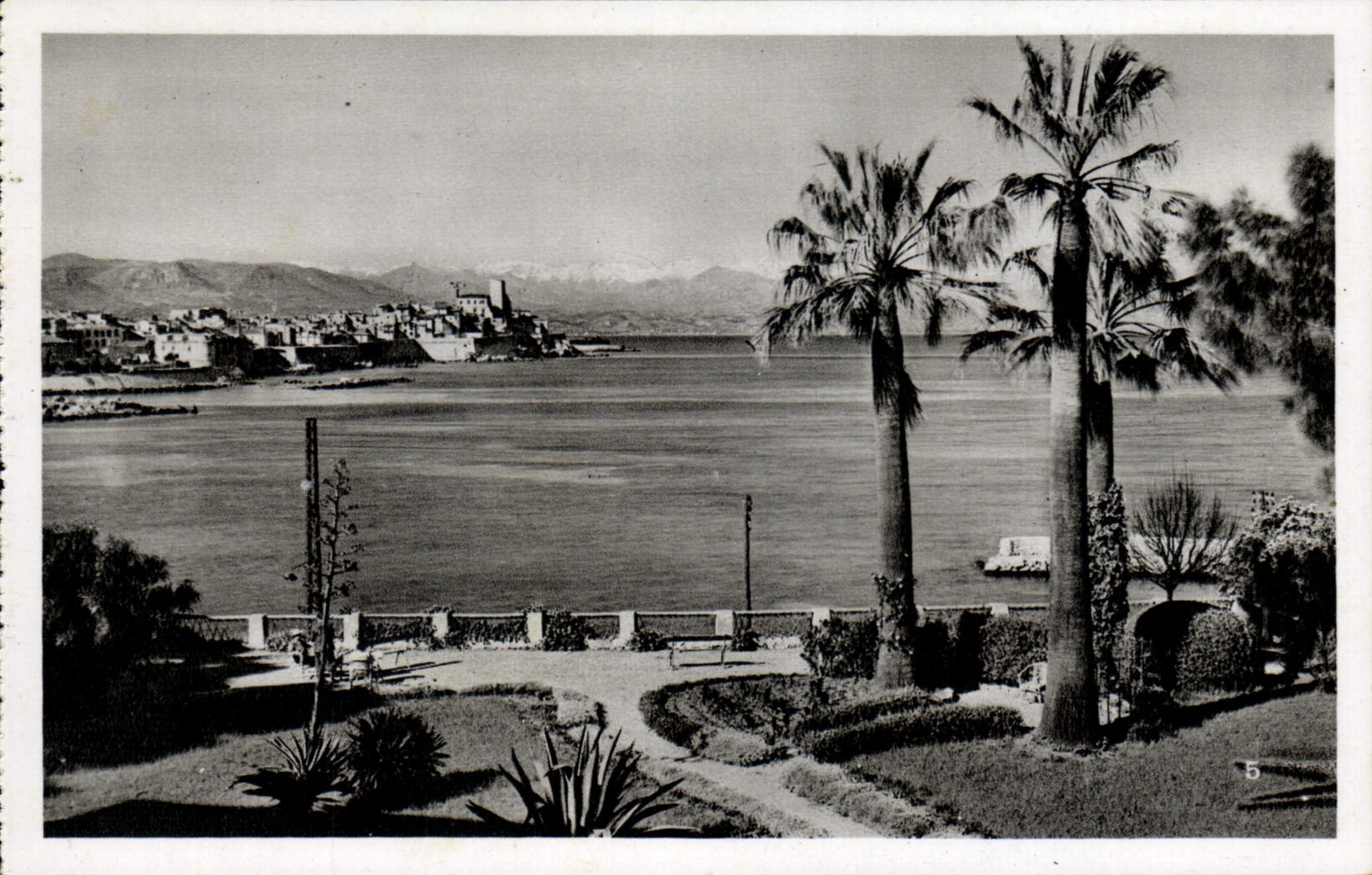 CPA Antibes La Chaine Des Alpes