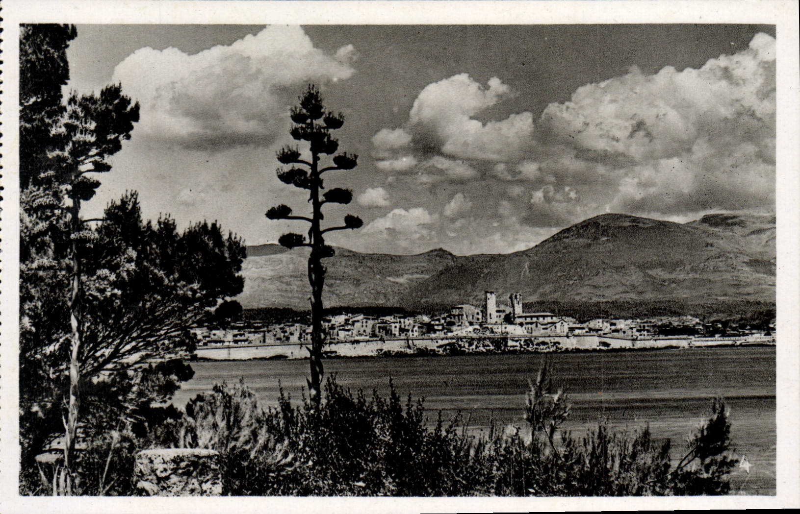 CPA Antibes Vue Generale