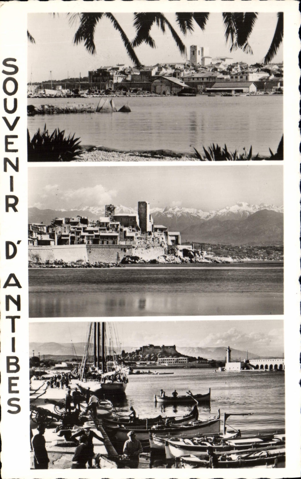 CPA Antibes Souvenir