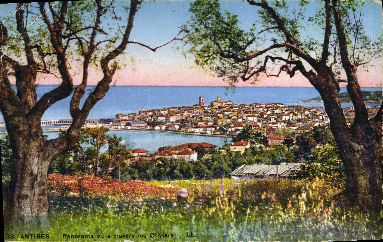 CPA Antibes Panorama Vu A Travers Les Oliviers