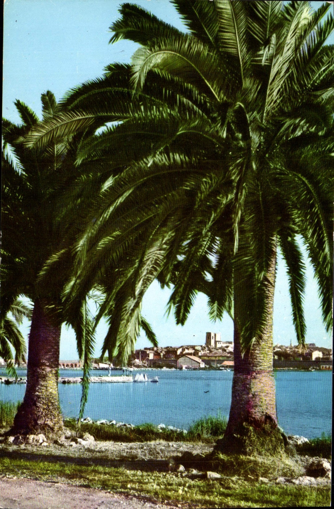 CPA Antibes Vue Sur La Vieille Ville