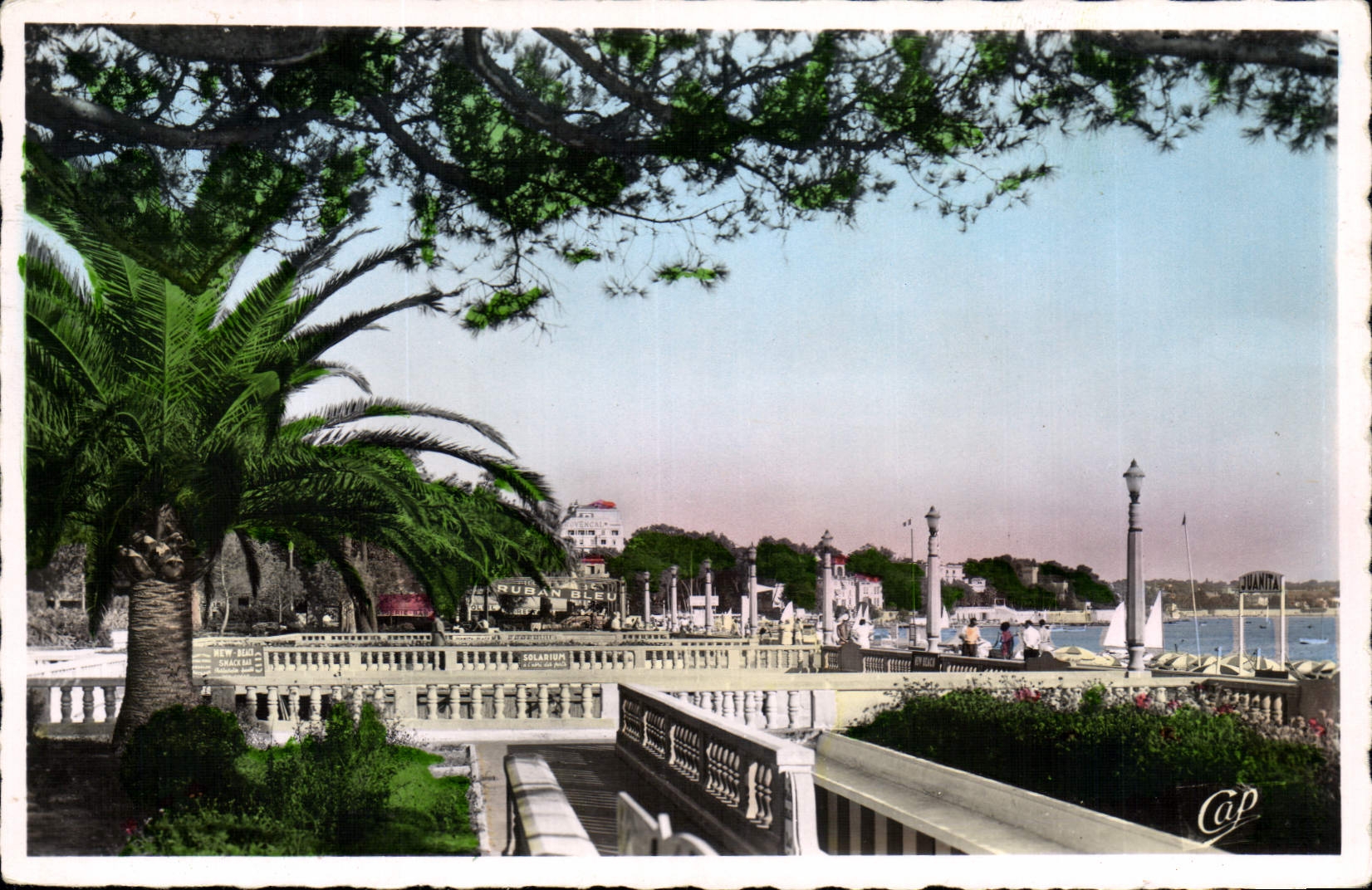 CPA Juan Les Pins Les Terrases Du Grand Pin