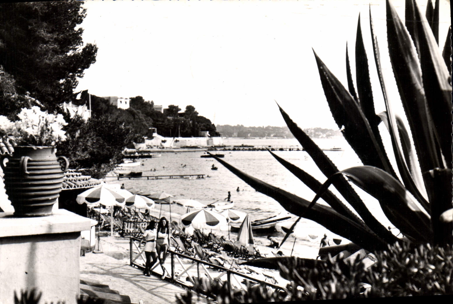 CPA Juan Les Pins La Plage Vue D'Une Terrasse Fleurie