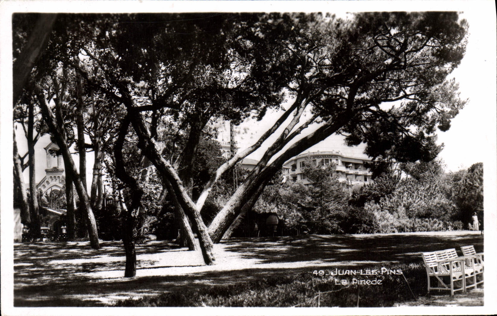 CPA Juan Les Pins la pinede