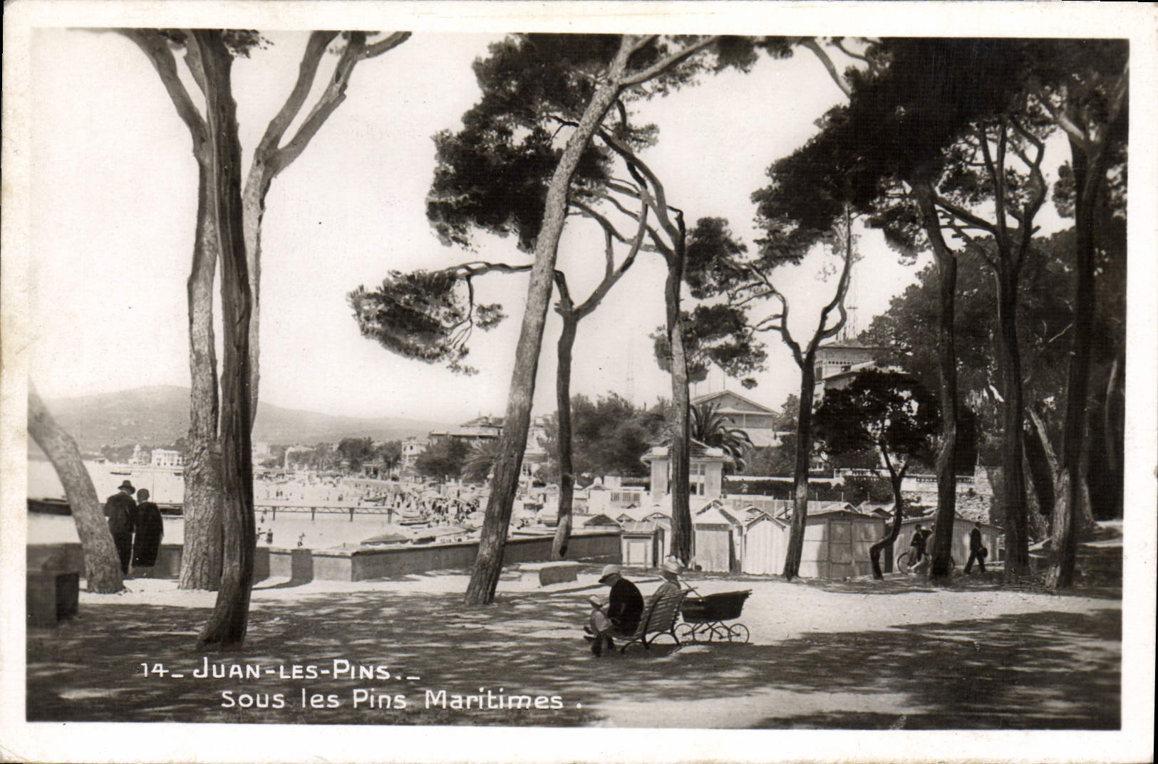 CPA Juan Les Pins Sous Les Pins Maritimes