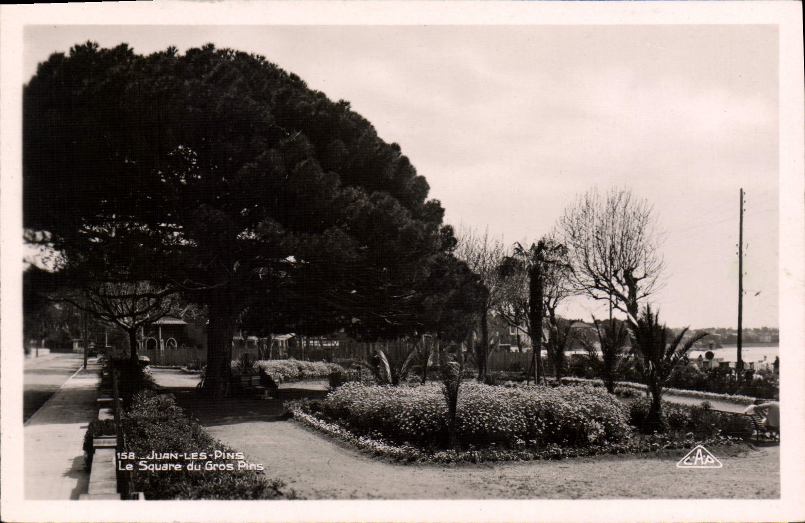 CPA Juan Les Pins Le Square Du Gros Pins