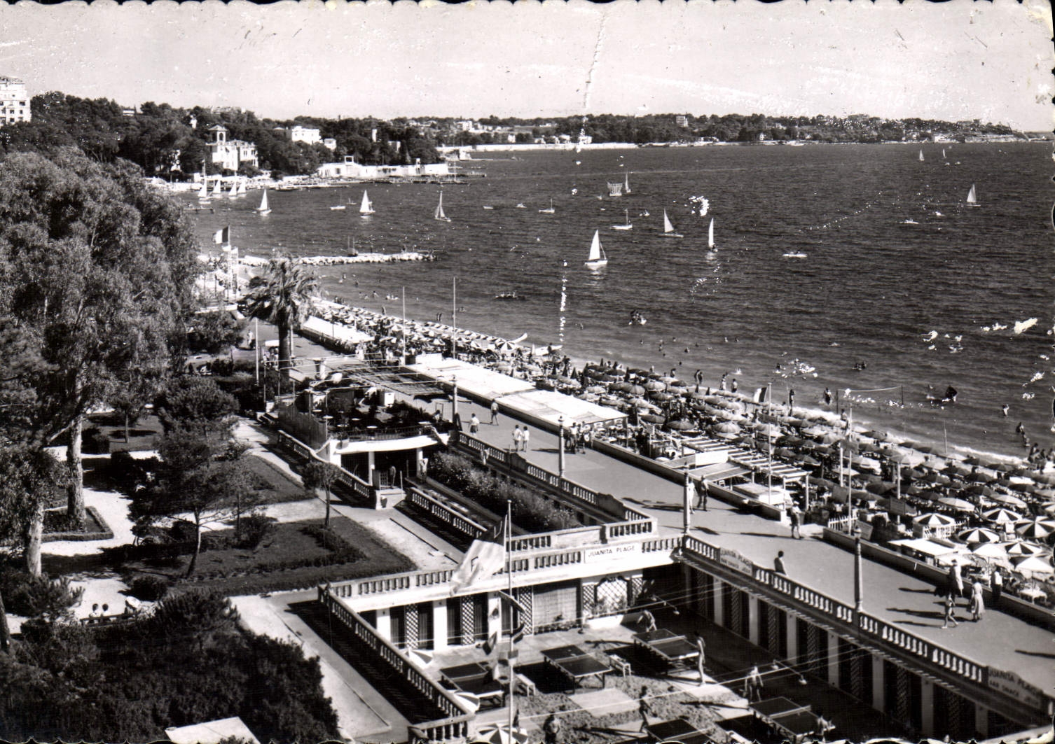 CPA Juan Les Pins La Promenade Et Les Jardins