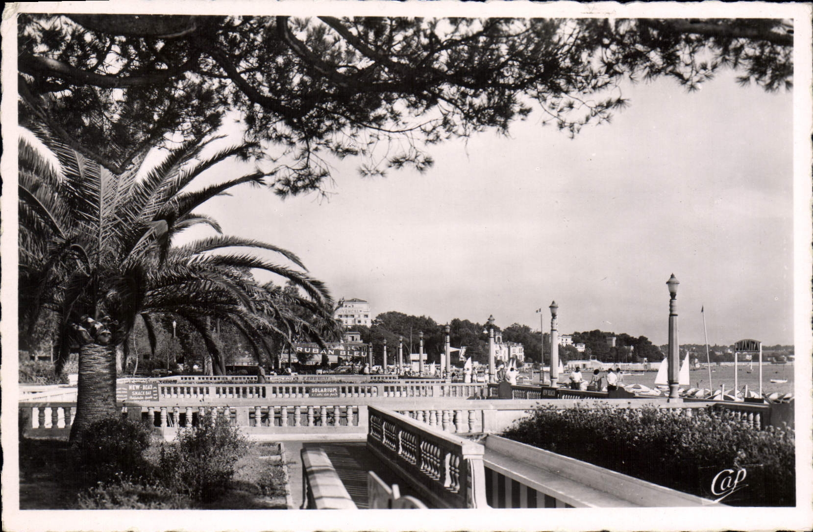 CPA Juan Les Pins Les Terrasses Du Grand Pin