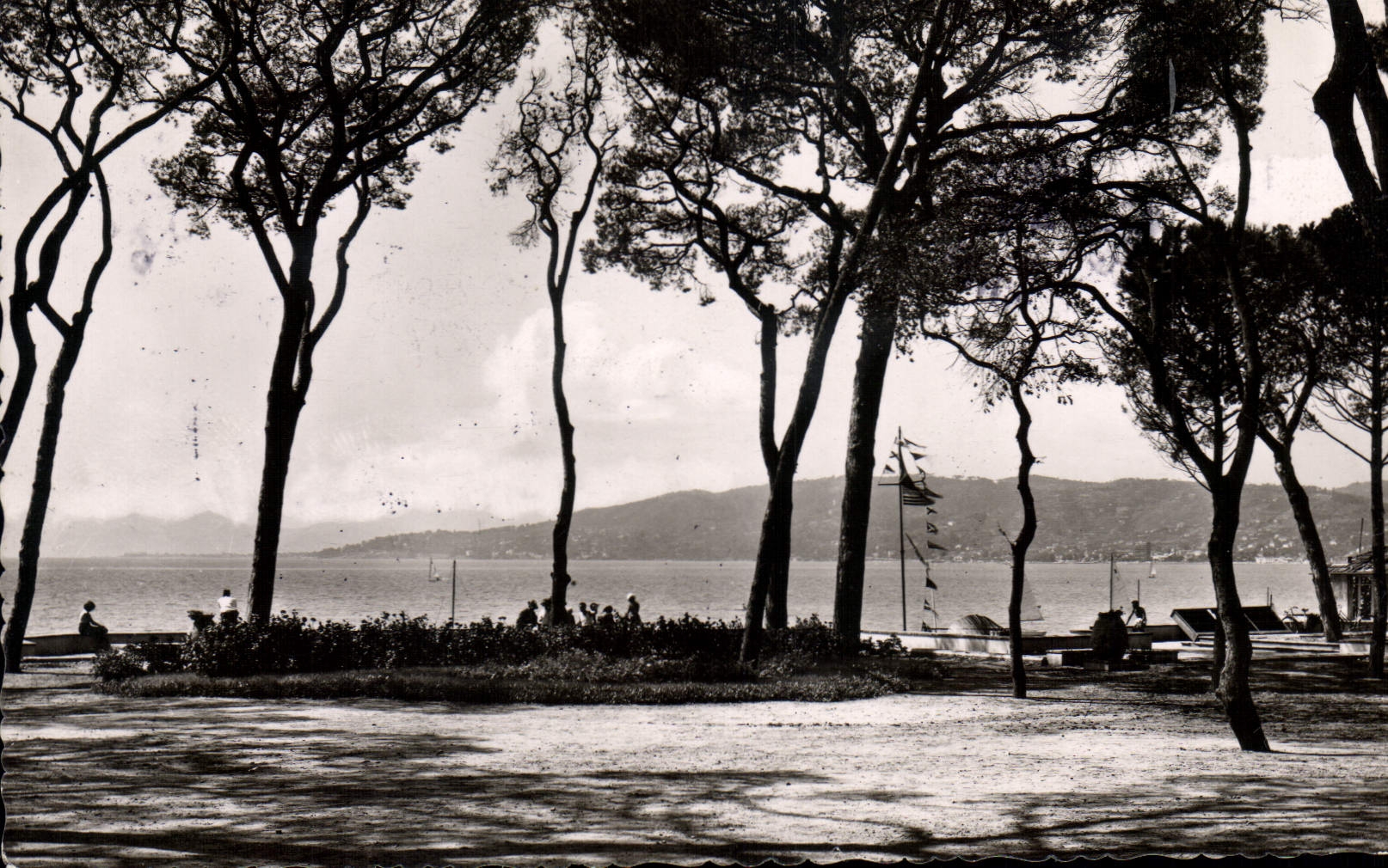 CPA Juan Les Pins La Pinede
