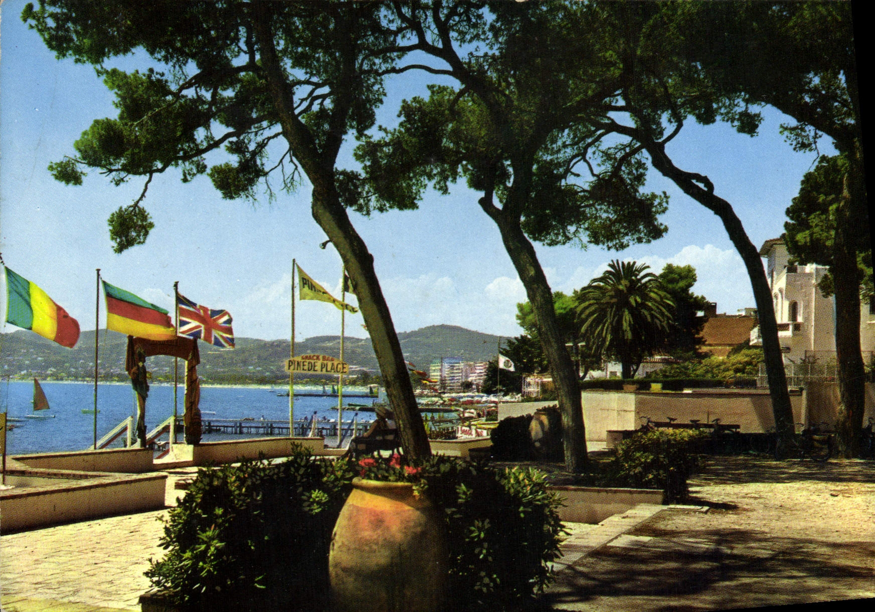 CPSM Juan Les Pins La Pinede
