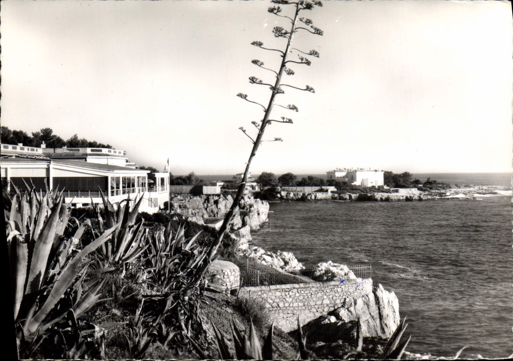 CPSM Juan Les Pins Le Cap D'Antibes Eden Roc