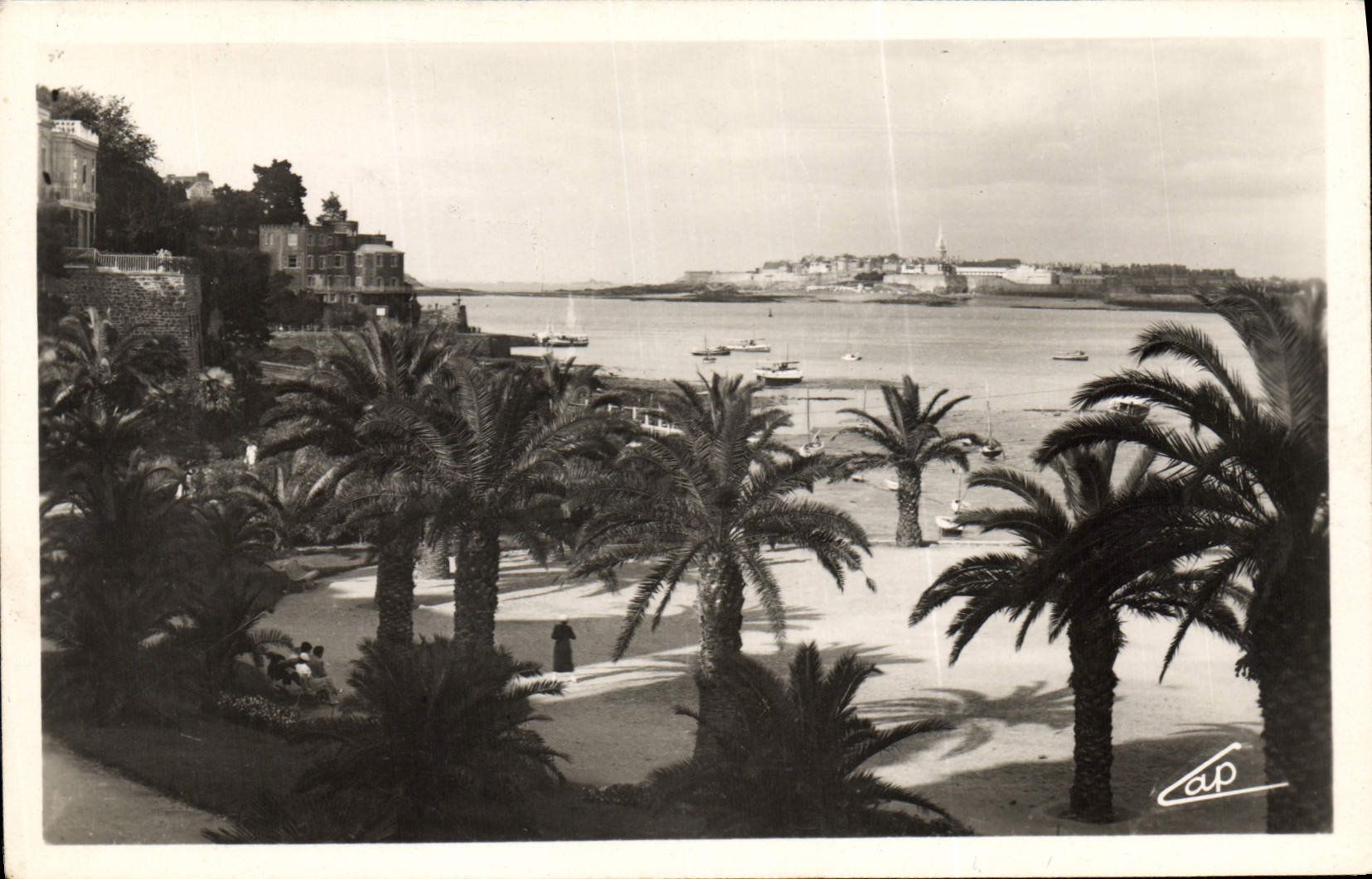CPA Dinard La Palmeraie Au Fond Saint Malo